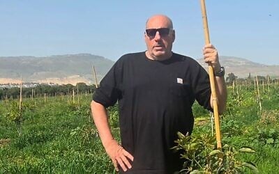 Ofer Moskovitz stands in his avocado grove on March 12, 2026, overlooking the border with Lebanon. (Courtesy)
