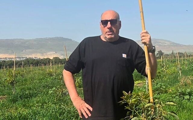Ofer Moskovitz stands in his avocado grove on March 12, 2026, overlooking the border with Lebanon. (Courtesy)