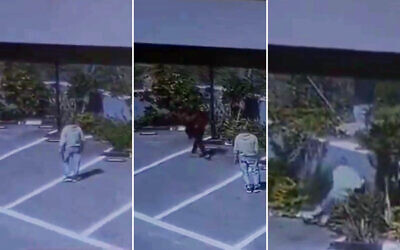 Screen captures from a video of Iyad Arar, 60, collapsing during an alleged confrontation with extremist settlers in the central West Bank, March 19, 2026. (X. Used in accordance with Clause 27a of the Copyright Law)