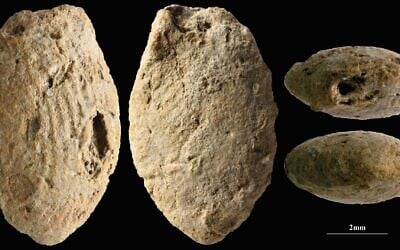 A clay bead from the Final Natufian period in Eynan-Mallaha (northern Israel), colored red with ochre and marked with the fingerprints of a child (roughly 10 years old) who modeled it 12,000 years ago. (Laurent Davin/Hebrew University of Jerusalem)