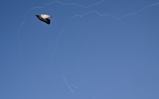 A pigeon flies as trails from the interception of an Iranian projectile are seen in the sky over Dubai on March 2, 2026.  (Photo by Giuseppe CACACE / AFP)
