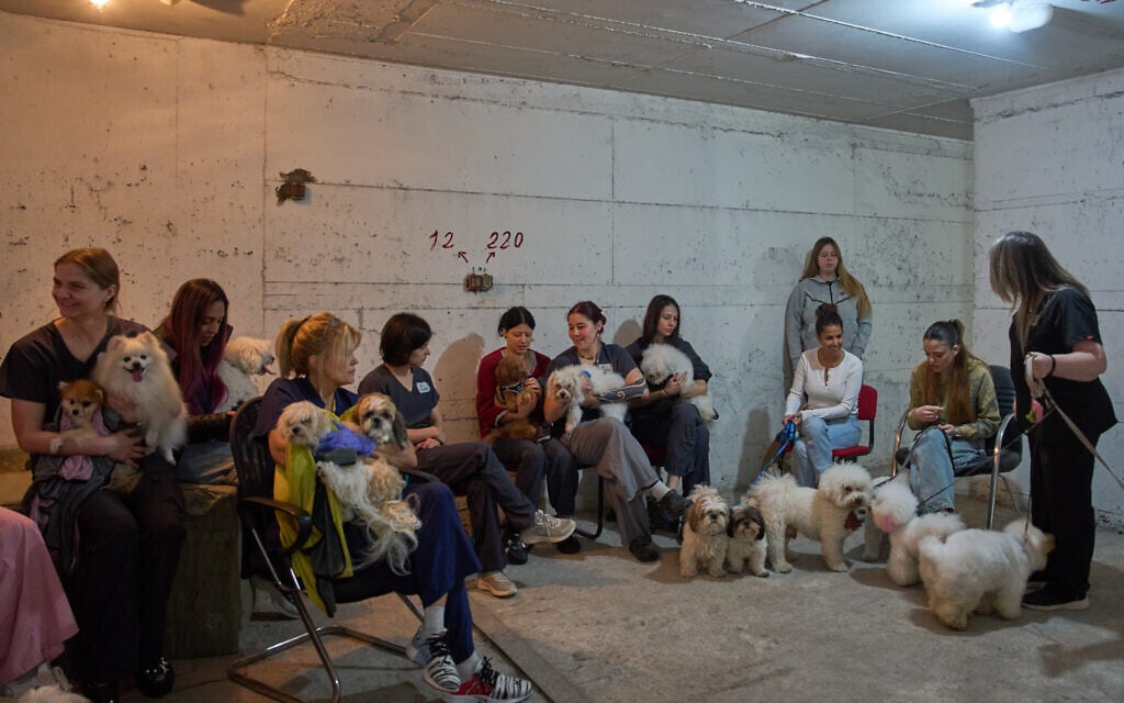 Dog salon workers take cover with the dogs in a bomb shelter as sirens warn of incoming Iranian missiles in Ramat Gan, Israel, Wednesday, March 25, 2026. (AP Photo/Oded Balilty)