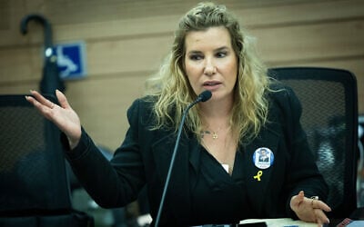 Tal Gilboa speaks during a committee meeting at the Knesset on February 19, 2024. (Yonatan Sindel/Flash90)