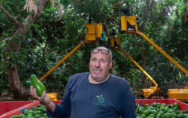 Ofer Moskovitz, 60, an avocado farmer in Kibbutz Misgav Am, who was killed by an errant IDF shell, seen in a photo from November 1, 2021. (Ayal Margolin/FLASH90) Ofer Moskovitz, 60, an avocado farmer in Kibbutz Misgav Am, who was killed by an errant IDF shell, seen in a photo from November 1, 2021. (Ayal Margolin/FLASH90)