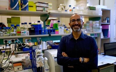 Prof. Joseph (Yossi) Tam of the Tam Lab at the Hebrew University of Jerusalem's School of Pharmacy in the Faculty of Medicine. (Courtesy/Tom Barnea)
