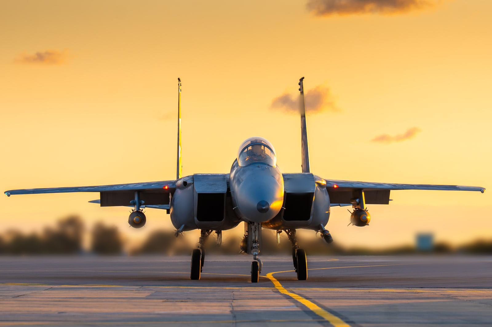 WhatsApp_Image_2026-03-01_at_20.54.47_1