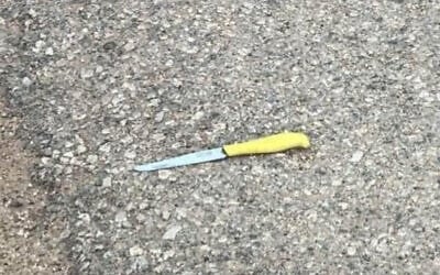 A knife that a Palestinian suspect was brandishing during an attempted attack at the West Bank settlement of Negohot, April 18, 2026. (Courtesy)