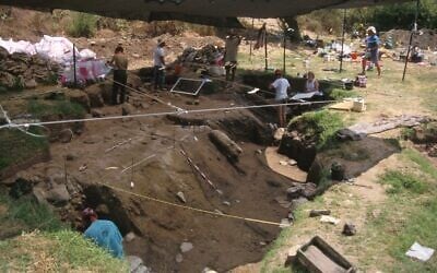 A general view of the excavation of Gesher Benot Ya‘aqov Acheulian site in northern Israel dating to some 780,000 years ago. (GBY Expedition)