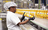 An undated photo of a Danone manufacturing plant in Jacksonville, Florida (Rick Wilson/AP Content Services for Danone North America)