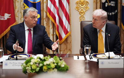 US President Donald Trump, right, meets with Hungary's Prime Minister Viktor Orban in the Cabinet Room of the White House, Nov. 7, 2025, in Washington. (AP Photo/Evan Vucci, File)
