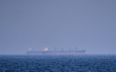 A bulk carrier ship anchored in the Strait of Hormuz, April 18, 2026. (AP Photo)