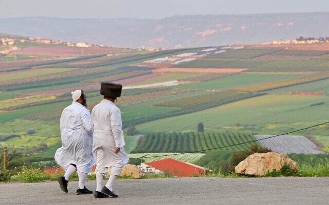 Illustrative: Hasidic Jews prepare for Shabbat in the northern town of Yavene'el, March 24, 2017. (Yaakov Lederman/FLASH90) Illustrative: Hasidic Jews prepare for Shabbat in the northern town of Yavene'el, March 24, 2017. (Yaakov Lederman/FLASH90)