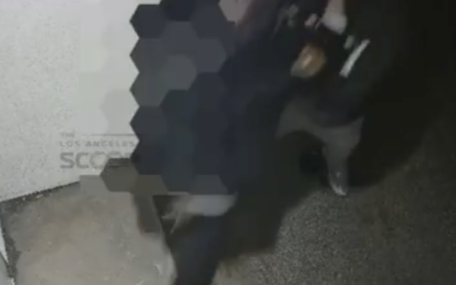 A Jewish man, whose figure is blurred, is assaulted behind the Adas Israel synagogue in Los Angeles, California, on April 27, 2026. (Screen capture: Los Angeles Scoop via X) A Jewish man, whose figure is blurred, is assaulted behind the Adas Israel synagogue in Los Angeles, California, on April 27, 2026. (Screen capture: Los Angeles Scoop via X)