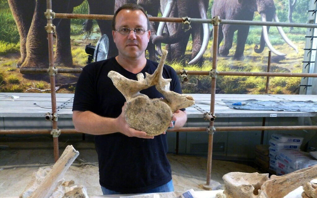 Prof. Ran Barkai from Tel Aviv University holds a segment of an ancient elephant at the La Polledrara site in Italy in an undated picture. (Tel Aviv University) Prof. Ran Barkai from Tel Aviv University holds a segment of an ancient elephant at the La Polledrara site in Italy in an undated picture. (Tel Aviv University)
