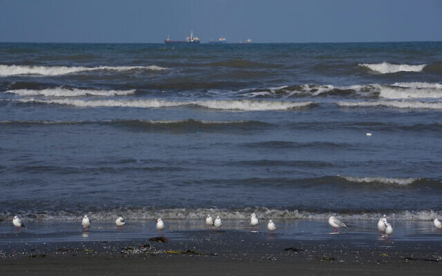 Seagulls sit on the southern coast of the Caspian Sea in the port city of Bandar Anzali, Iran, December 21, 2025. (AP Photo/Vahid Salemi) Seagulls sit on the southern coast of the Caspian Sea in the port city of Bandar Anzali, Iran, December 21, 2025. (AP Photo/Vahid Salemi)