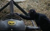 Illustrative: A serviceman of Ukraine's defense intelligence prepares an An-196 Liutyi (Fierce) one-way drone against Russia in an undisclosed location in Ukraine late on May 28, 2026. (AP Photo/Efrem Lukatsky)