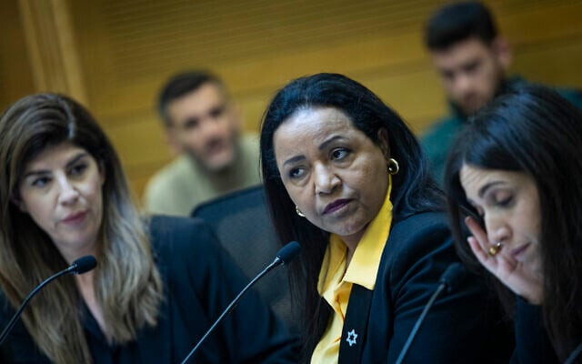MK Tsega Melaku leads the Special Committee for the Communications Law at the Knesset on February 24, 2026 (Yonatan Sindel/Flash90)