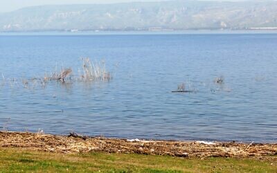 View of the Sea of Galilee. (Dov Greenblat/Society for the Protection of Nature in Israel) View of the Sea of Galilee. (Dov Greenblat/Society for the Protection of Nature in Israel)