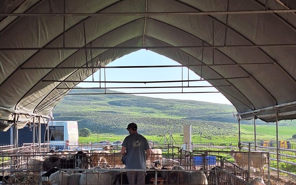 Germinated by its founder’s trauma, growing farm network cultivates healing through work