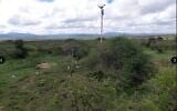 The Weizmann Institute's main and secondary instrument masts in an area of acacia woodland in Kenya. (Courtesy)