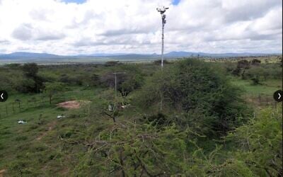 The Weizmann Institute's main and secondary instrument masts in an area of acacia woodland in Kenya. (Courtesy)