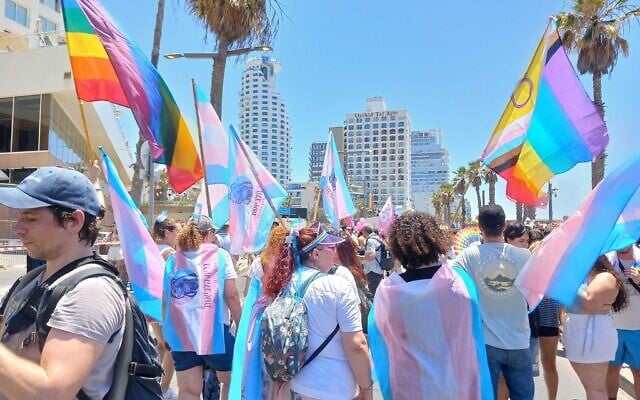 People draped in the Trans Pride flag stand on the road near Tel Aviv's Gordon Beach during the LGBTQ Pride Parade in Tel Aviv on June 12, 2026. (Noam Lehmann/The Times of Israel) People draped in the Trans Pride flag stand on the road near Tel Aviv's Gordon Beach during the LGBTQ Pride Parade in Tel Aviv on June 12, 2026. (Noam Lehmann/The Times of Israel)