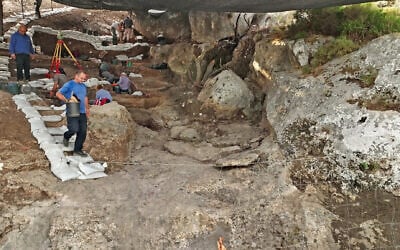 Excavations conducted by the Israel Antiquities Authority and the University of Haifa in a prehistoric cave near Fureidis in Northern Israel. (Emil Aladjem/Israel Antiquities Authority)