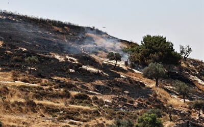 Smoke rises after Israeli settlers allegedly set fire to agricultural fields surrounding the village of Taybeh, in the West Bank on June 10, 2026. (Zain JAAFAR / AFP)