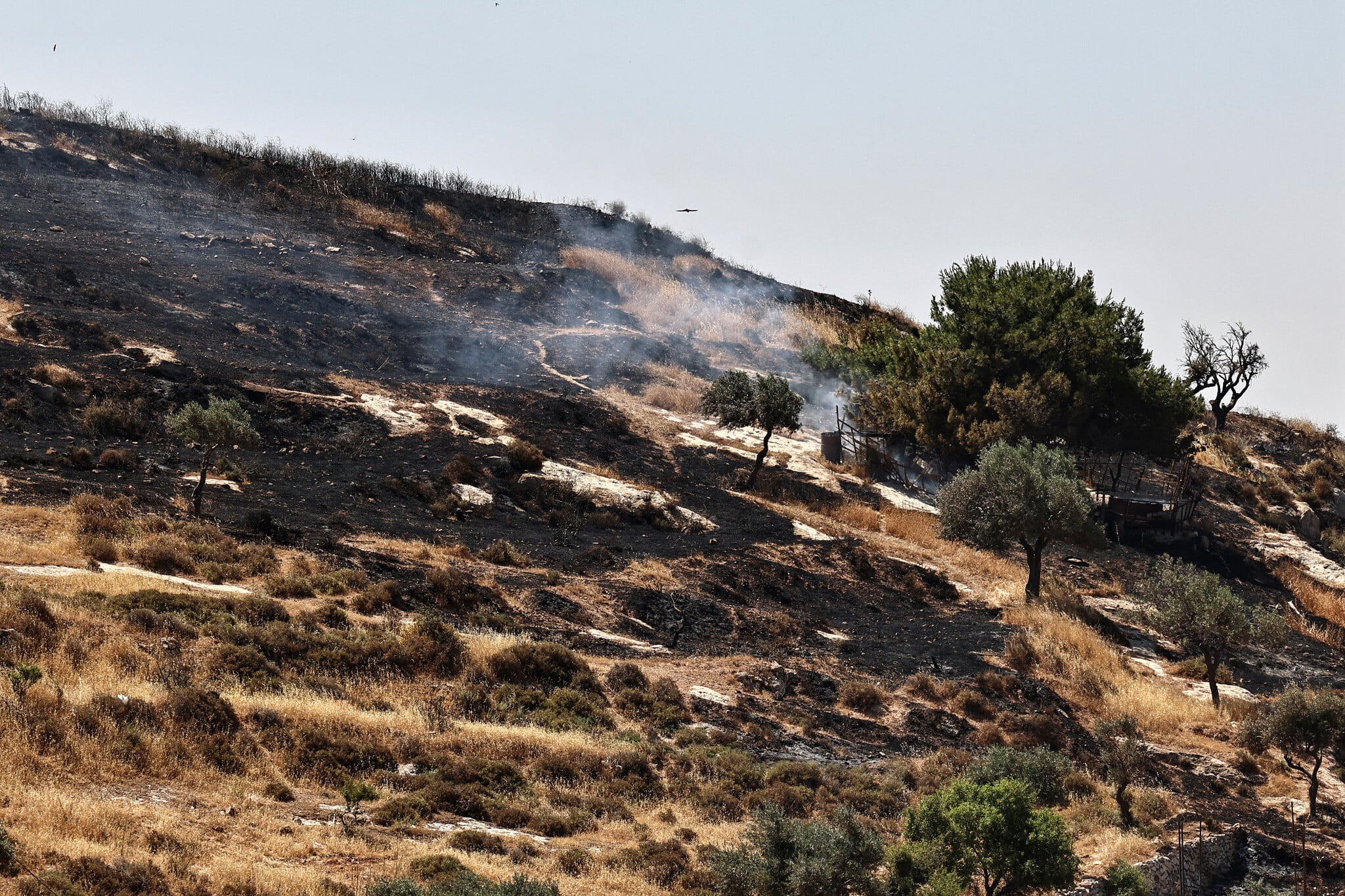 Palestinians accuse Israeli settlers of impeding firefighters near West Bank village