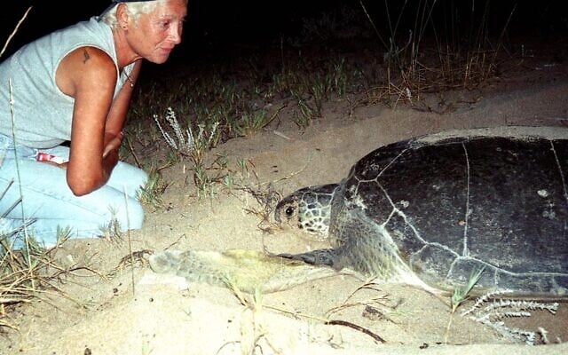 Mona Khalil looks at a turtle on the coast of the southern Lebanese port city of Tyre, August 12, 2002. (Jihad Seqlawi/AFP) Mona Khalil looks at a turtle on the coast of the southern Lebanese port city of Tyre, August 12, 2002. (Jihad Seqlawi/AFP)
