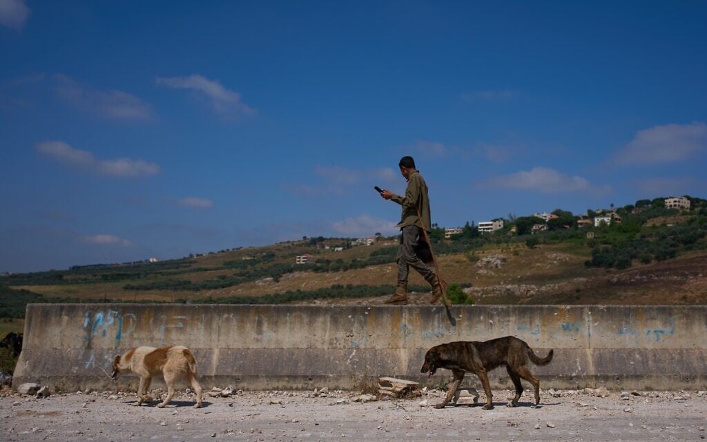 A shepherd looks for his flock while walking with two dogs in the village of Dibbine, southeast Lebanon, June 11, 2026. (AP Photo/Hassan Ammar)