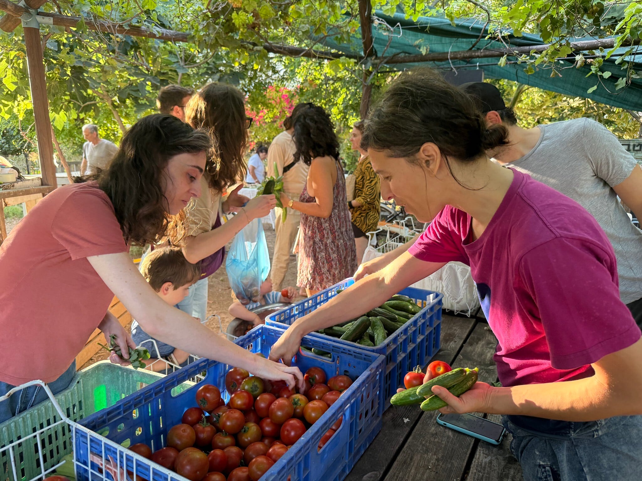 In south Tel Aviv, organic plant waste powers an eco-friendly mini-economy