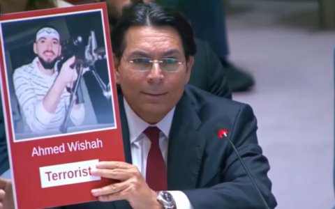 Israel's UN Ambassador Danny Danon at the UN Security Council, June 29, 2026 (Video screenshot)
