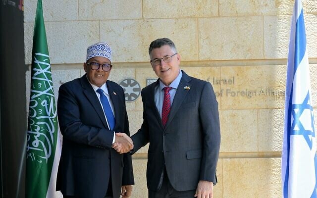 Foreign Minister Gideon Sa'ar (R) meets Somaliland's President Abdirahman Mohamed Abdillahi at the Foreign Ministry in Jerusalem, June 15, 2026 (Shlomi Amsalem, GPO)