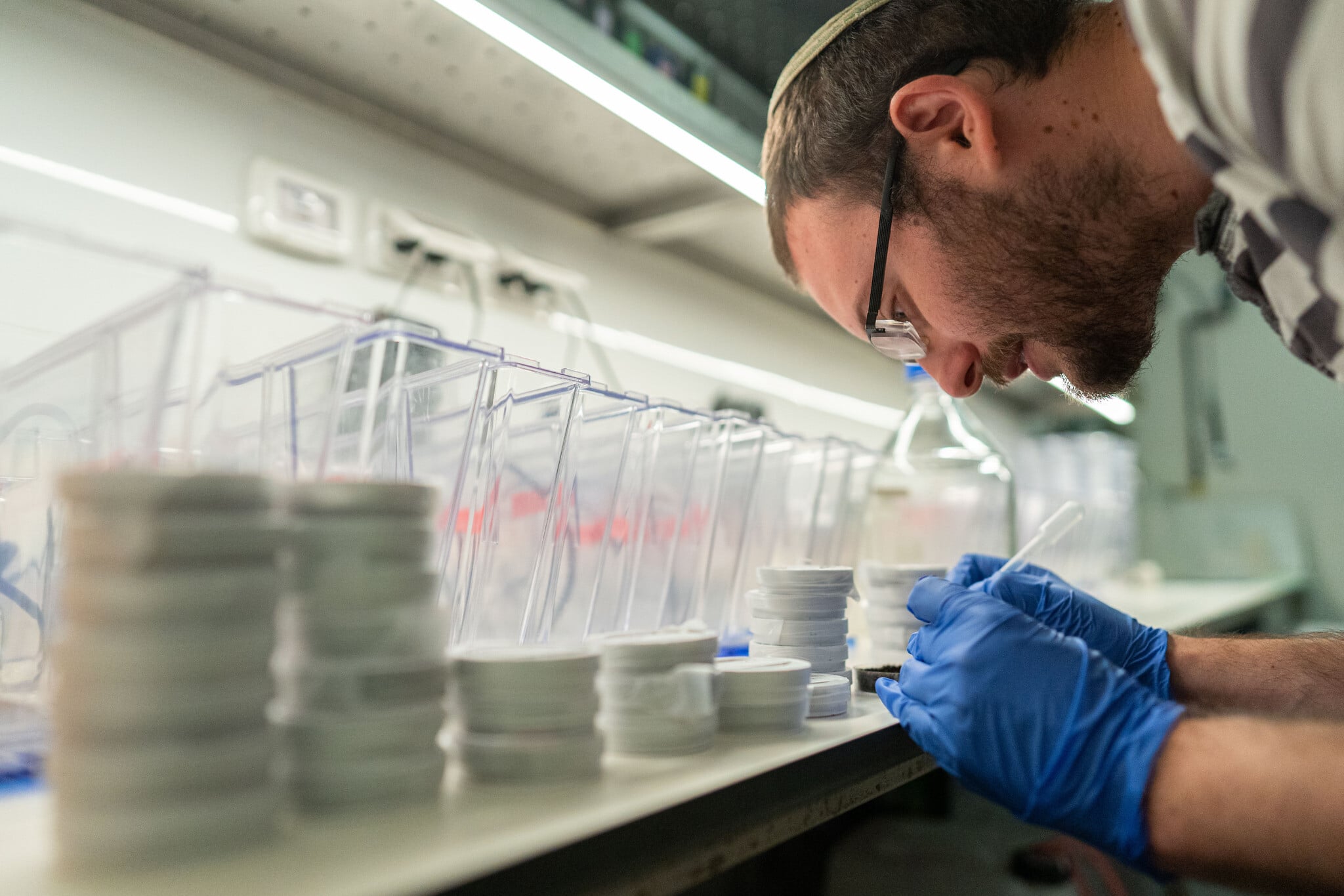 Live fast, die young: Israeli scientists link rapid-growth gene to early aging...