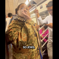 A woman screaming 'Jews are eating kids!' on the New York City Subway, May 31, 2026. (Screenshot/Combat Antisemitism Movement on X)