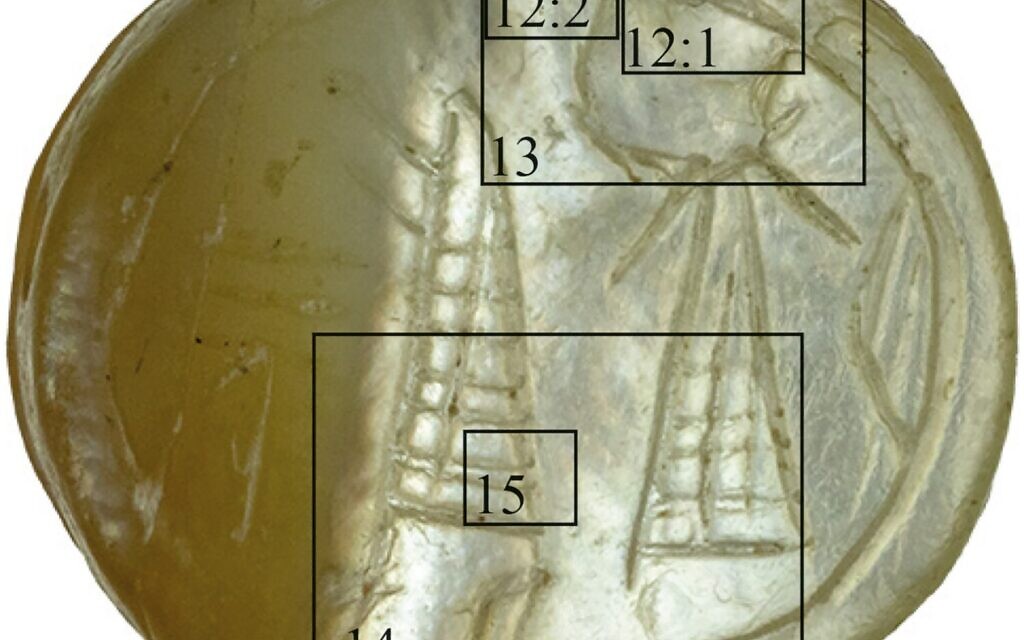 A closeup of the seal (Sasha Flit, Tel Aviv University)