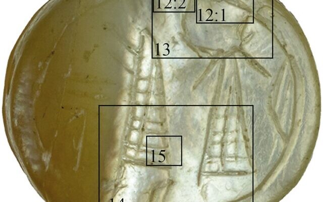 A closeup of the seal (Sasha Flit, Tel Aviv University)