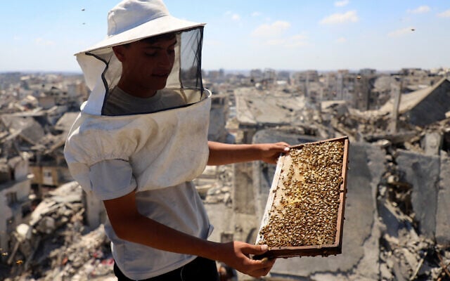 A Palestinian beekeeper holds a beehive frame while inspecting hives installed on top of a ruined building, amid widespread destruction and a shortage of space, in Gaza City, June 25, 2026. (Ebrahim Hajjaj/Reuters)