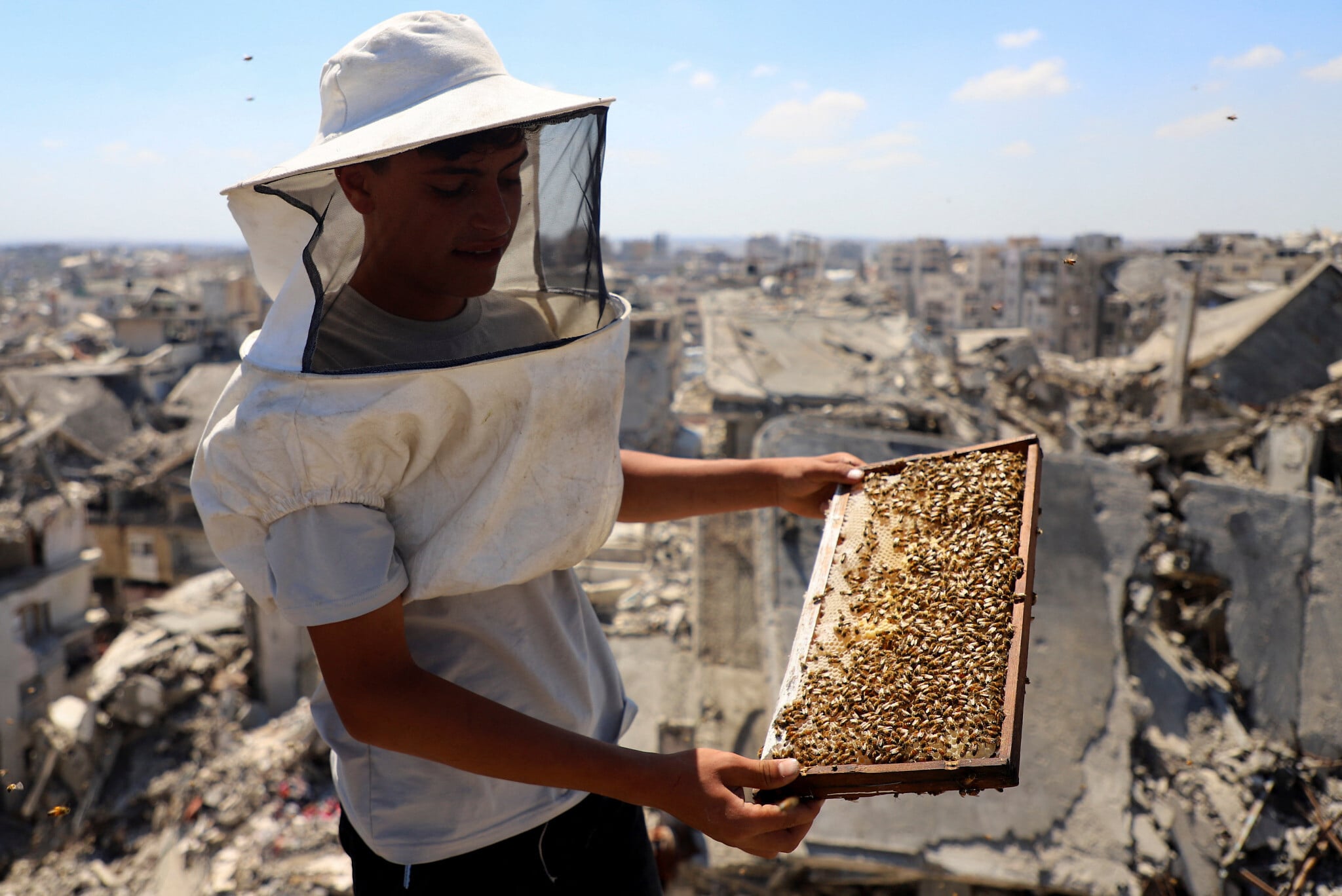 Gazan Beekeepers Face Near-Total Collapse of Honey Production Following Conflict
