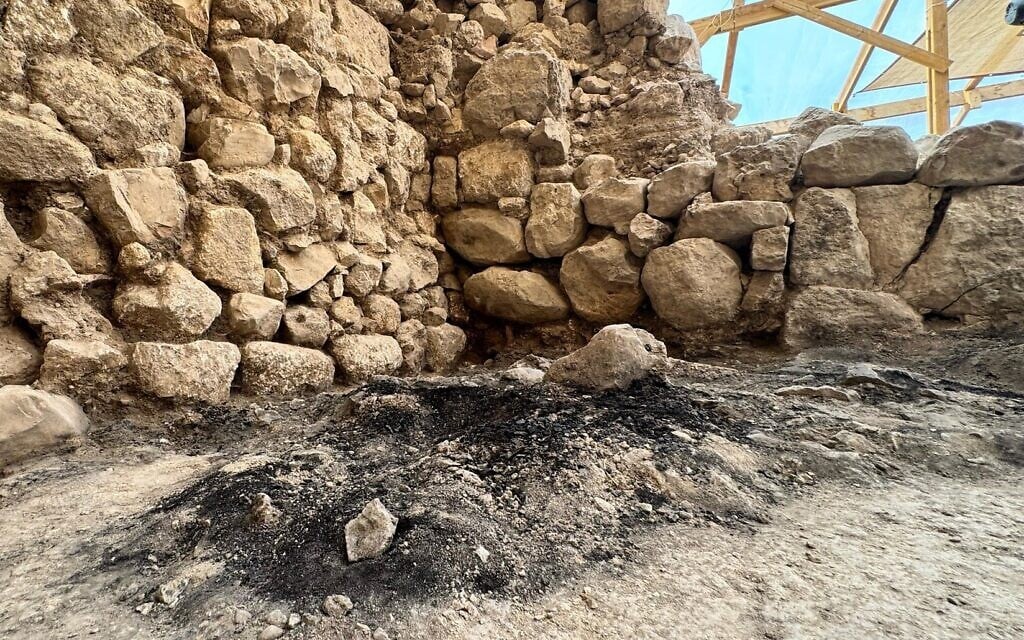 Rare well-preserved Iron Age wood offers evidence of First Temple’s destruction in Jerusalem