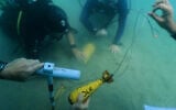 Divers place mock munitions on the floor of the Mediterranean Sea off the coast of Rishon LeZion, Israel, Sunday, June 21, 2026. (AP Photo/Sam Mednick)