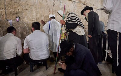 Ultra-Orthodox Jewish men pray during the fast day of Tisha B’Av at the Western Wall in Jerusalem’s Old City, July 22, 2026. (AP Photo/Ohad Zwigenberg) Ultra-Orthodox Jewish men pray during the fast day of Tisha B’Av at the Western Wall in Jerusalem’s Old City, July 22, 2026. (AP Photo/Ohad Zwigenberg)