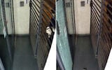 Screen captures from video of a vandalism attack on the offices of the Haaretz newspaper in Tel Aviv, July 8 2026. (Haaretz)
