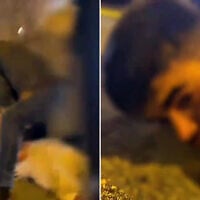 Police seen detaining murder suspect Avior Sasson in a taxi in the Harel Tunnel at the entrance to Jerusalem, July 28, 2026. (Screen captures/Israel Police)