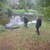Senior prison officials tour the crocodile farm at Hamat Gader in northern Israel, January 2026. (Via social media)