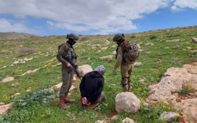 A shepherd from the Palestinian herding community of Khallet Makhul in the northern Jordan Valley is detained by soldiers, February 19, 2025. (Courtesy Association of Civil Rights in Israel) A shepherd from the Palestinian herding community of Khallet Makhul in the northern Jordan Valley is detained by soldiers, February 19, 2025. (Courtesy Association of Civil Rights in Israel)