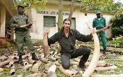 Ofir Drori poses in Cameroon with elephant tusks seized from an African-Asian crime syndicate. (Courtesy, EAGLE)