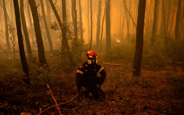 A Greek firefighter rests during a wildfire in the area of Porto Germeno, some 70 kilometers (45 miles) northwest of Athens in the region of Viotia, on August 1, 2026. (Angelos TZORTZINIS/AFP)