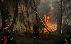 Greek firefighters try to extinguish a wildfire in the area of Porto Germeno, some 70 kilometers (45 miles) northwest of Athens in the region of Viotia, on August 2, 2026. (Angelos TZORTZINIS/AFP)